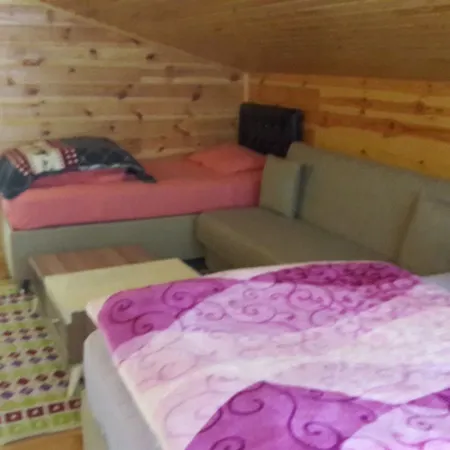 Selale Dag Evi Apartment Ayder Yaylasi