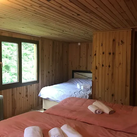 Selale Dag Evi Apartment