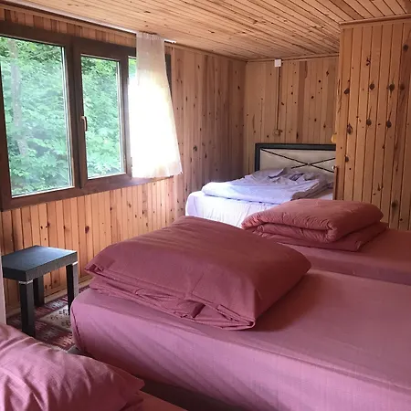 Selale Dag Evi Apartment