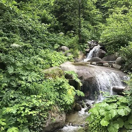Selale Dag Evi Ayder Yaylasi